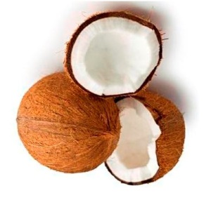 kelapa
